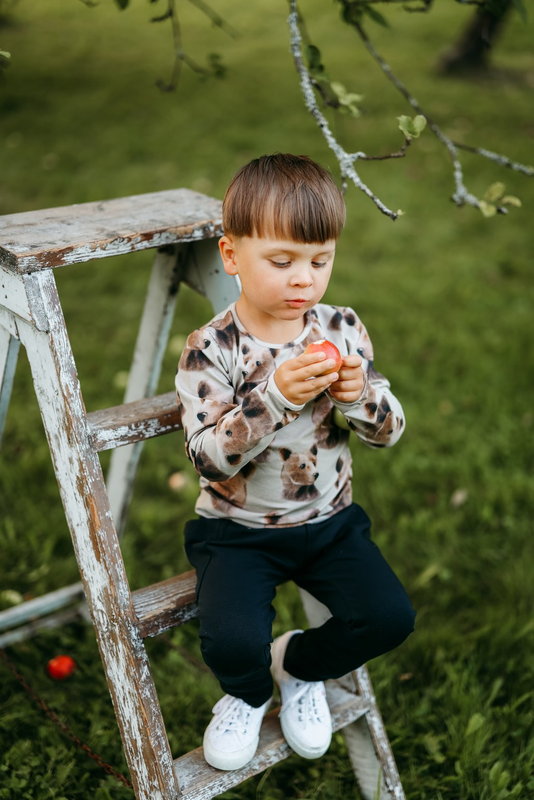 METSOLA - BEAR SHIRT LS, GREEN