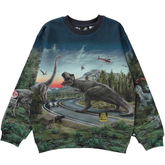 Molo Kids - Sweatshirt Miksi Co-Exist