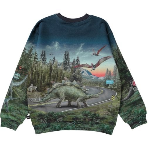 Molo Kids - Sweatshirt Miksi Co-Exist